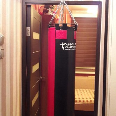 Мешок боксерский ПРОФИ Absolute Champion, 20кг