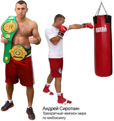 Мешок боксерский ПРОФИ Absolute Champion, 40кг
