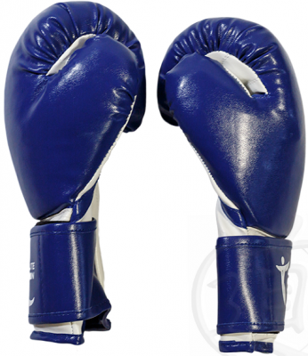 Перчатки боксерские AbCh Absolute Champion, синие, 12 унц.