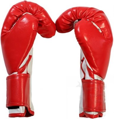 Перчатки боксерские AbCh Absolute Champion, красные, 10 унц.