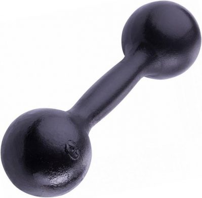 Гантель Iron King литая круглая, 9кг., чугун
