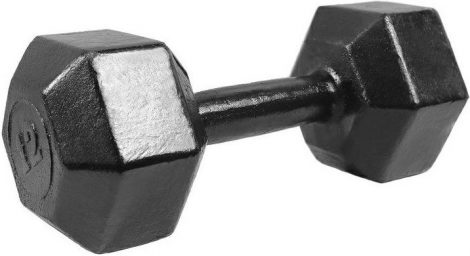 Гантель Iron King литая гексагональная, 12кг., чугун