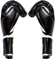 Перчатки боксерские AbCh Absolute Champion, черные, 14 унц.